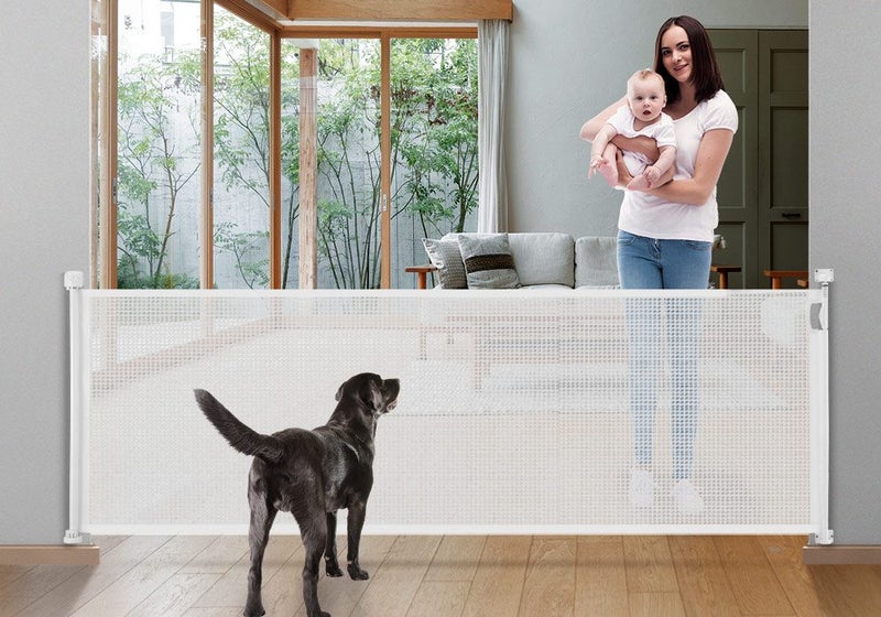 Safety Gate Carousel 1