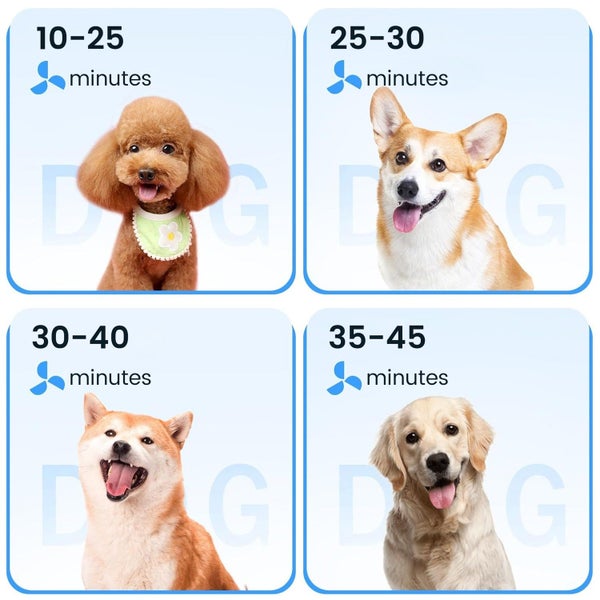 Dog Hair Dryer,High Velocity Pet Hair Dryer with Adjustable Speed , Temperature Carousel 5