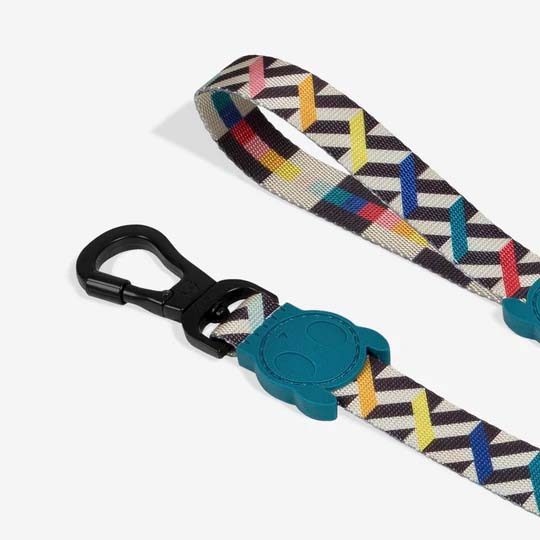 ZEE.DOG LEASH - FRITZ! SMALL! Carousel 2