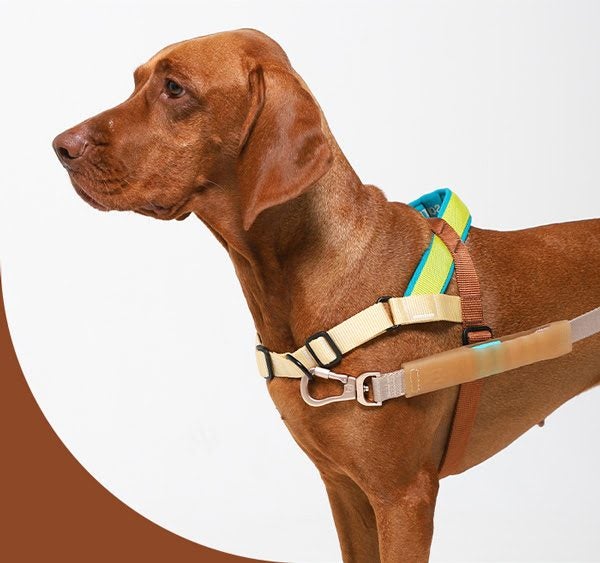 ZEE.DOG SOFTER WALK HARNESS - AVOCADO - MEDIUM! Carousel 1