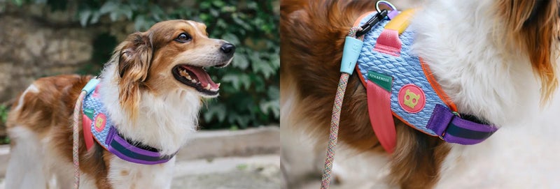 ZEE.DOG FLYHARNESS - GALAXY - SIZE 4 Carousel 1