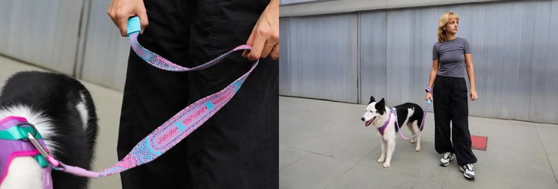 ZEE.DOG NIT LEASH - CANDY! Carousel 2