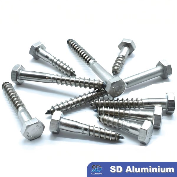 Hex Head Coach Screw - M12 - Range of Sizes Available - SS304 Carousel 2