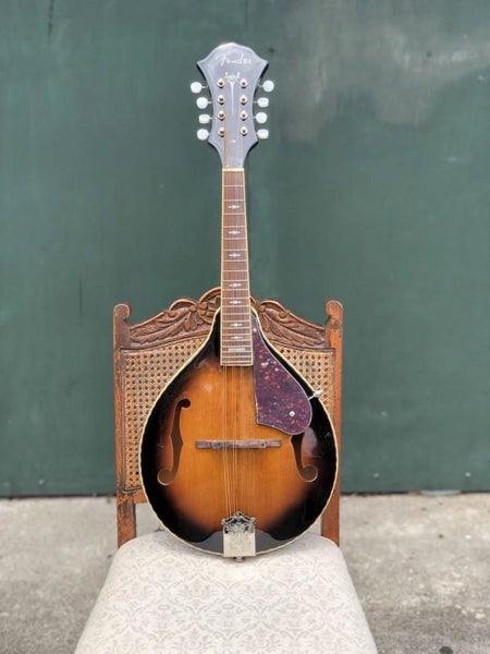 Fender Acoustic Electric Mandolin Carousel 1