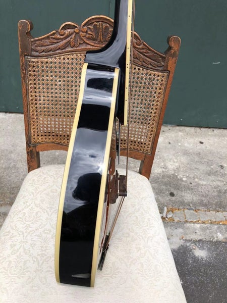 Fender Acoustic Electric Mandolin Carousel 9