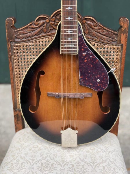Fender Acoustic Electric Mandolin Carousel 2