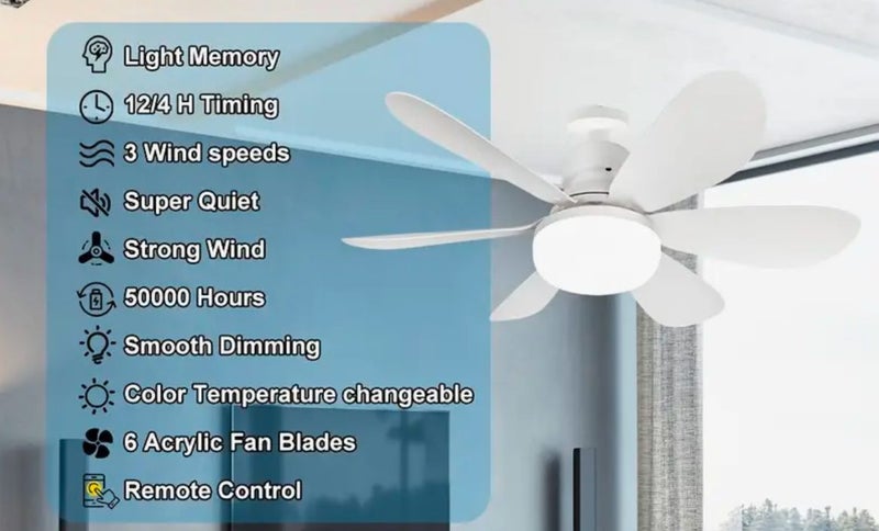 Socket Fan Light – Deluxe Model Warm Light Ceiling Fans with Lights Ceiling Fan Carousel 9