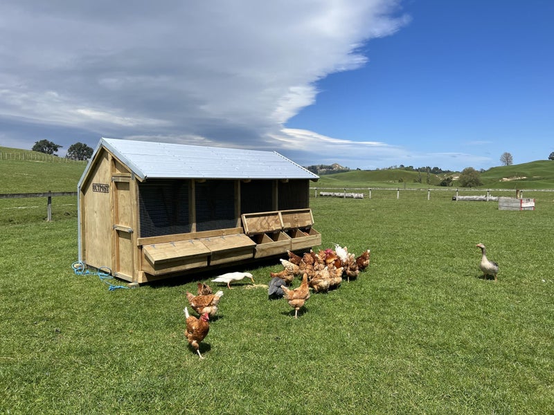 4 Bay relocatable Hen House Carousel 1