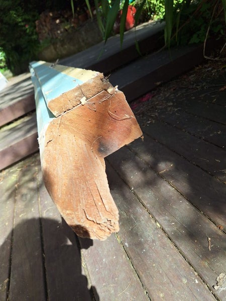 Rimu beam 145mm x 90mm Carousel 2