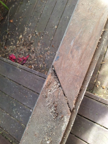 Rimu beam 145mm x 90mm Carousel 2