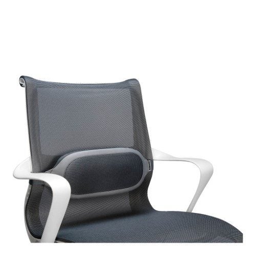 Fellowes I-Spire Series Lumbar Cushion Carousel 1