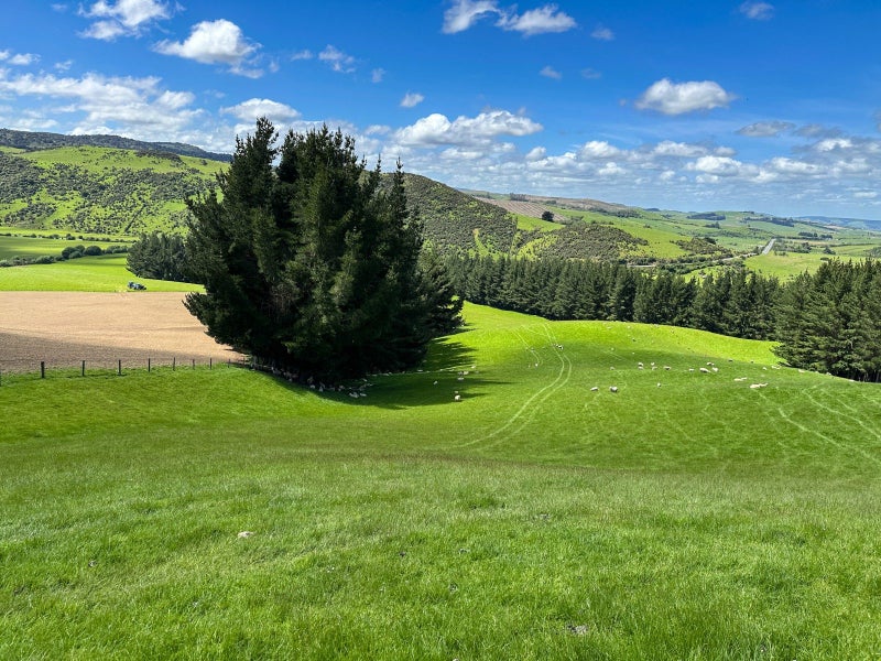 Image 1 of 20