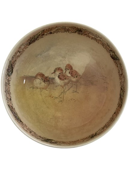 Royal Dolton Fruit Bowl D4258 Carousel 8