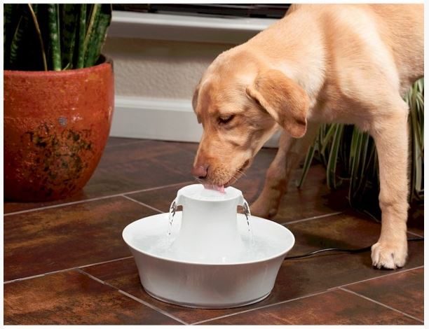 DRINKWELL CERAMIC AVALON PET FOUNTAIN 2 LITRES Carousel 1
