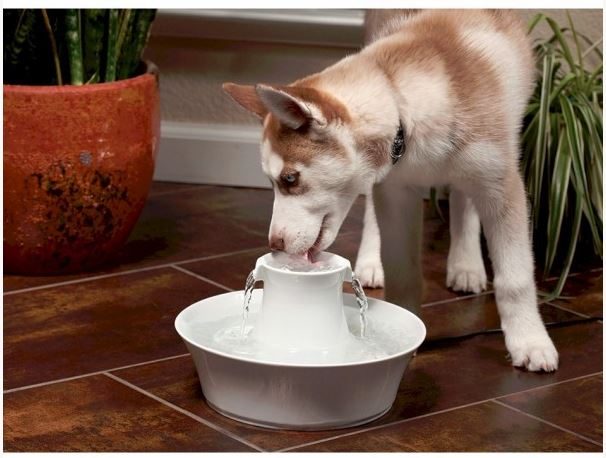 DRINKWELL CERAMIC AVALON PET FOUNTAIN 2 LITRES Carousel 6