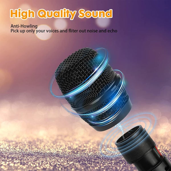DOUBLE UNIVERSAL WIRELESS MICROPHONE64440225138946114