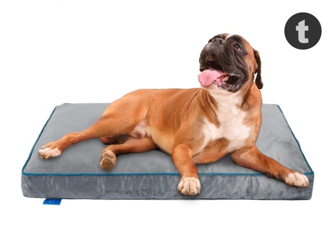 Fetch Orthopedic Memory Foam Dog Bed 12cm Thick M… Carousel 1