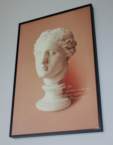 +++ VENUS DE MILO ART /PRINT +++ Carousel 2