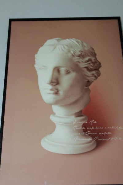 +++ VENUS DE MILO ART /PRINT +++ Carousel 10