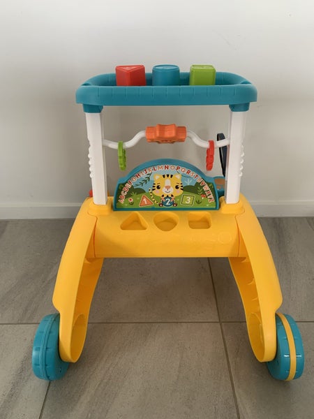 Fisher Price cat double sided walker Carousel 3