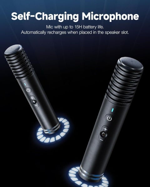 Party Box - Karaoke Speaker system With Wireless Mic62944298156289113