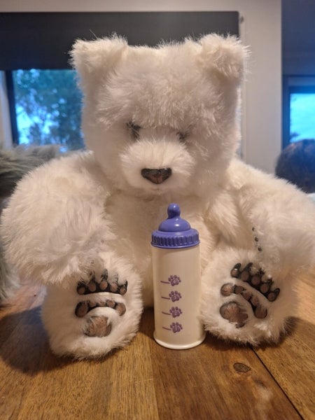 Fur Real friends Bear and bottle Carousel 1