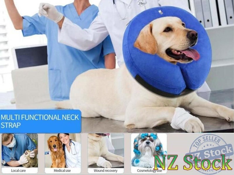 PTN NEW Dog Collar Sale Sale Sale Carousel 1