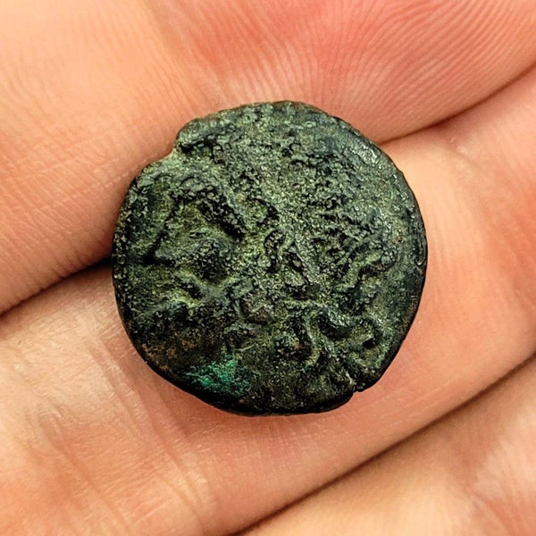 Sicily, Heiron II AE Litra. 275 - 215 BC. Calciati 197 Carousel 1
