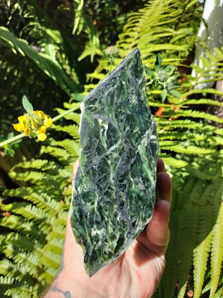(VARY RARE) High Quality Douglas Creek Pounamu Carousel 1