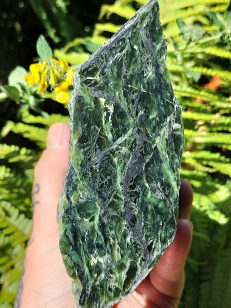 (VARY RARE) High Quality Douglas Creek Pounamu Carousel 2