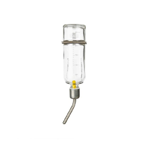 Trixie Glass Water Bottle 250ml Carousel 1