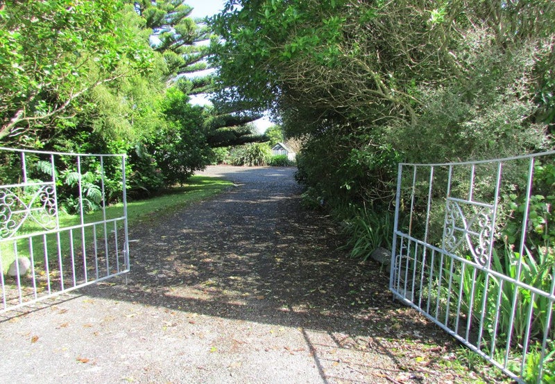 Image 1 of 50