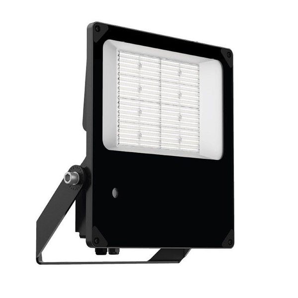 Lampada Striker II 200W/150W/100W Tri-Colour Exterior Flood Light With Built ... Carousel 1