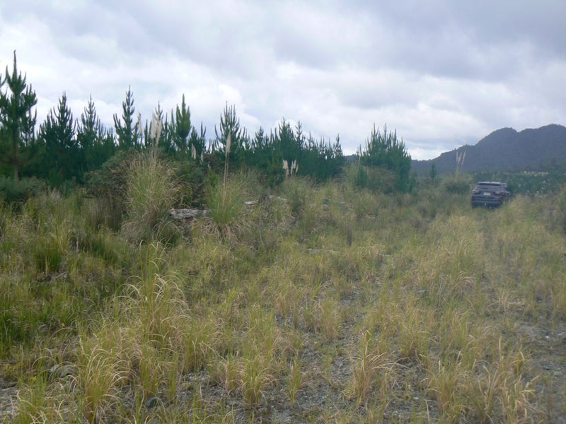 Image 1 of 9