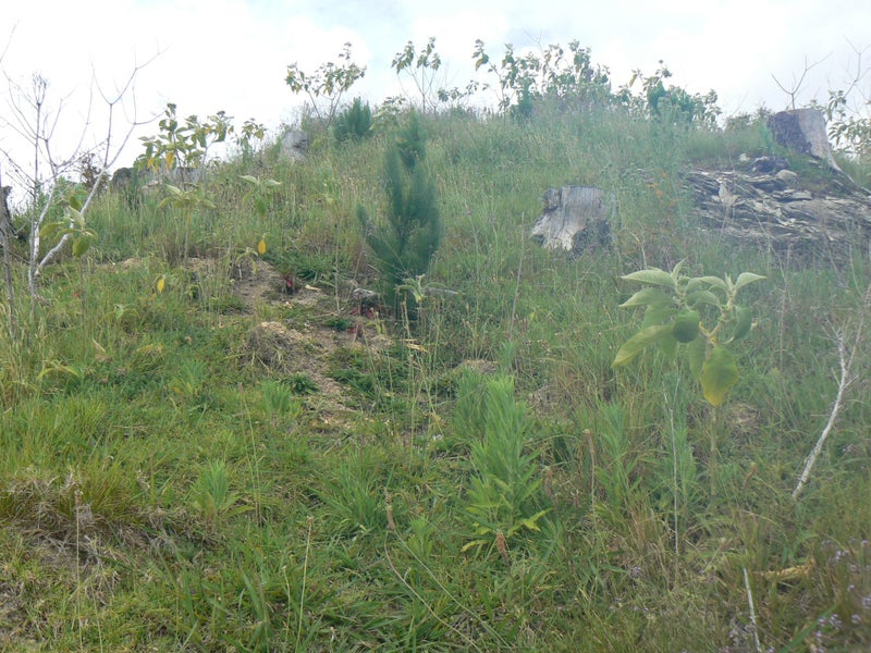 Image 1 of 9