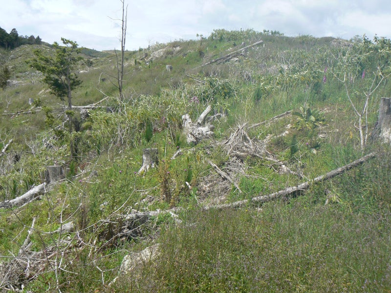 gallery carousel 2