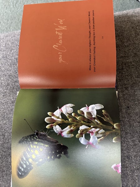 Book: Healing Moments by Terry Winn/Neale Donald Walsh Carousel 2