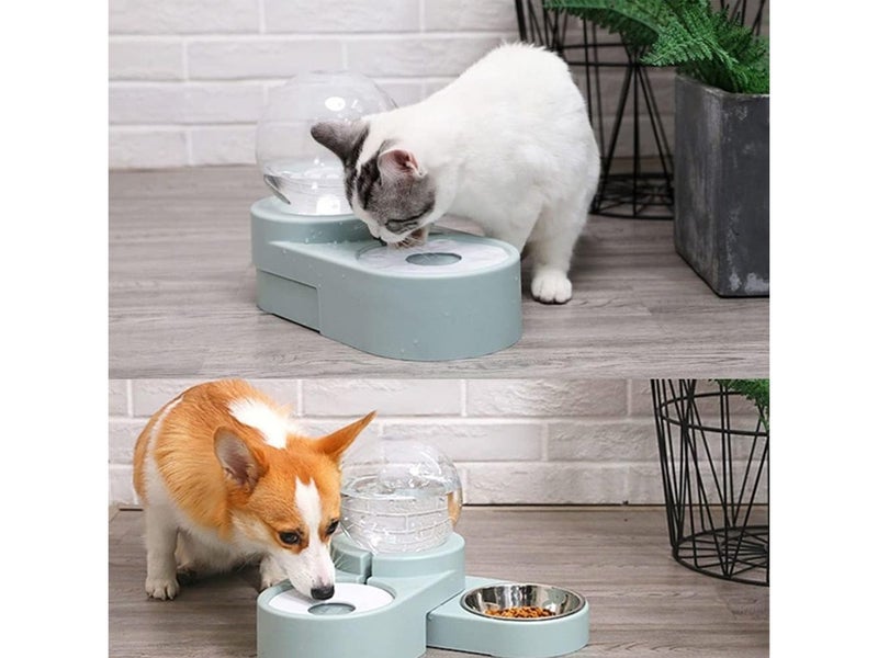 Automatic Pet Feeder NZ Clearance Carousel 11