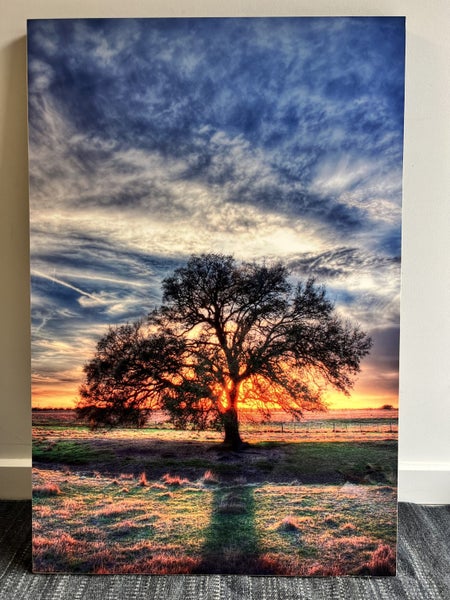 Trey Ratcliff Framed Photograph Carousel 1