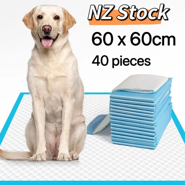Per Training Pad 60x60cm Carousel 1