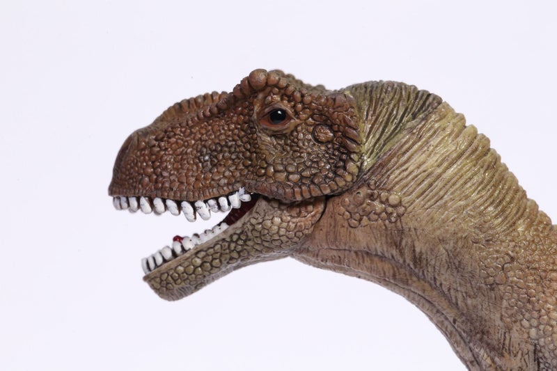 Schleich Allosaurus Dinosaur Figure - SC14580 Carousel 8