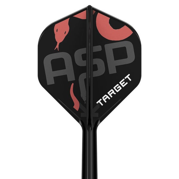 Target - NEW K-Flex Flights & Shafts - Nathan Aspinall - Standard Carousel 1