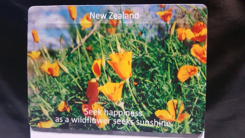 NZ Yellow Wildflower Fridge Magnets Carousel 1