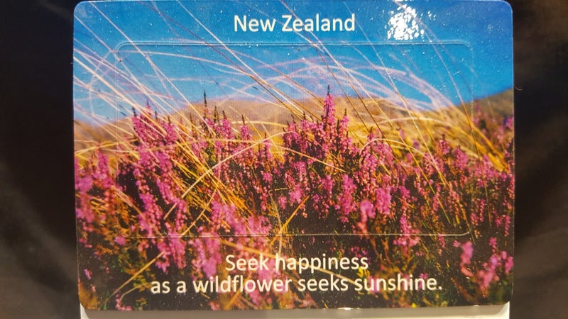 NZ Cerise Wildflower Fridge Magnets Carousel 1