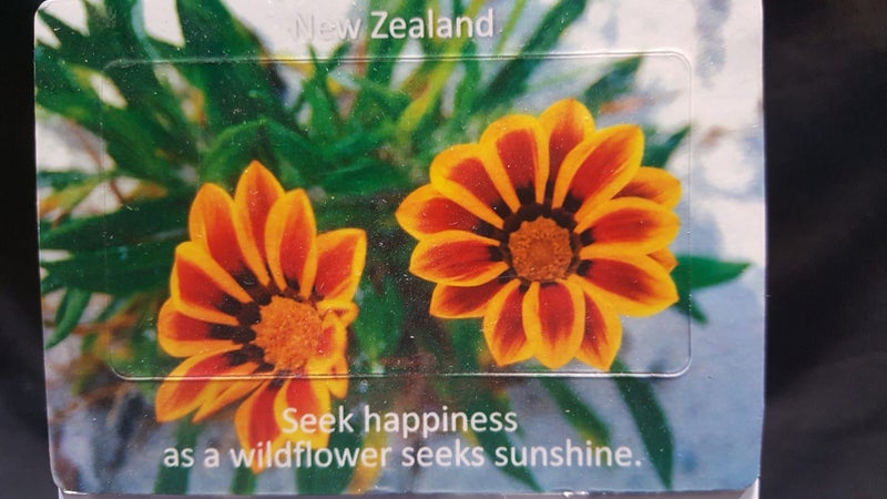 NZ Yellow/Orange Wildflower Fridge Magnets Carousel 1