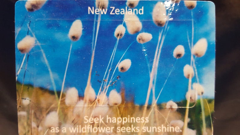 NZ Grass Wildflower Fridge Magnets Carousel 1