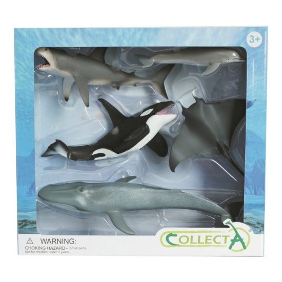 Sea Life Boxed Set, 5pcs Carousel 1