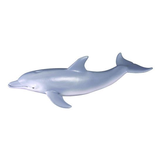 Sea Life Boxed Set, 5pcs Carousel 2