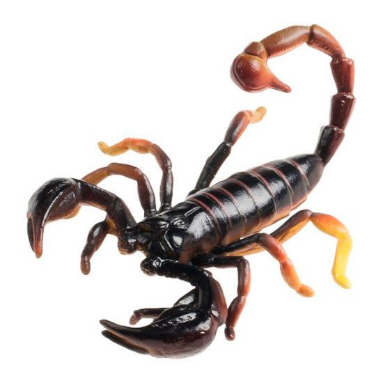 Scorpion Plastic Rep Carousel 1
