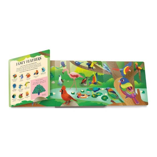 Look & Find - Birds Carousel 2
